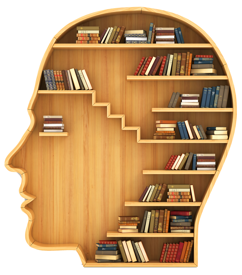 books on the brain
